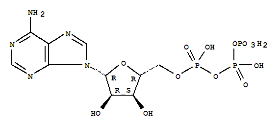 4-溴-3-氟苯胺