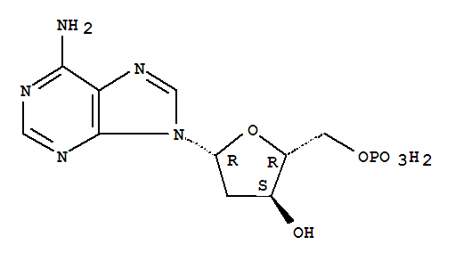 2'-脫氧腺苷-5'-單磷酸; 脫氧腺苷單磷酸; 脫氧腺苷酸