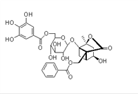 6'-O-沒(méi)食子酰白芍苷